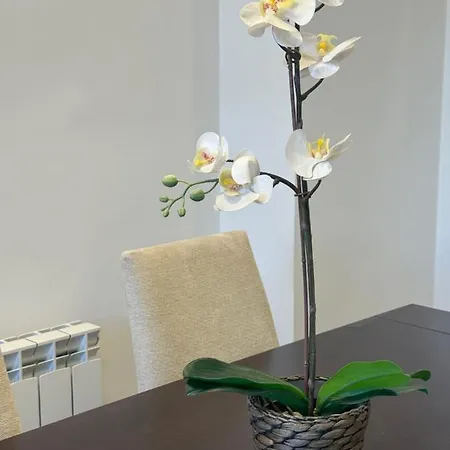 Apartment Victoria 32 Malaga